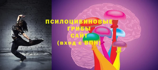 гашик Бронницы
