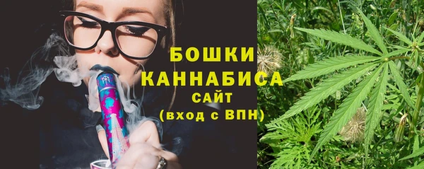 гашик Бронницы