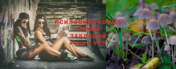 марки lsd Бородино