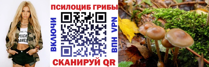 Псилоцибиновые грибы мицелий Ижевск