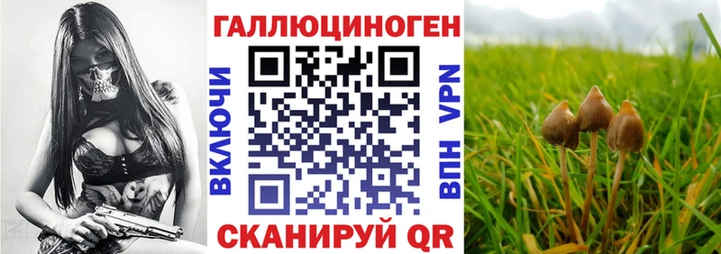 Галлюциногенные грибы Psilocybe OMG вход Ижевск